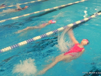 6.XII MIKOŁAJ NAGRADZAŁ ZWYCIĘZCÓW MIKOŁAJOWYCH ZAWODÓW PŁYWACKICH DLA UCZESTNIKÓW SZKÓŁKI MOSiR W ŻYWCU - zdjęcie28