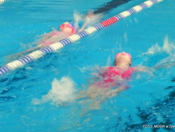 6.XII MIKOŁAJ NAGRADZAŁ ZWYCIĘZCÓW MIKOŁAJOWYCH ZAWODÓW PŁYWACKICH DLA UCZESTNIKÓW SZKÓŁKI MOSiR W ŻYWCU - zdjęcie26