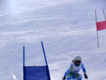 ELIMINACJE DO MPA W KORBIELOWIE 2015 - WYNIKI I FOTOREPORTAŻ - zdjęcie127