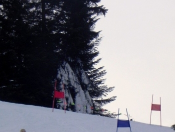 ELIMINACJE DO MPA W KORBIELOWIE 2015 - WYNIKI I FOTOREPORTAŻ - zdjęcie119