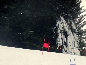 ELIMINACJE DO MPA W KORBIELOWIE 2015 - WYNIKI I FOTOREPORTAŻ - zdjęcie111