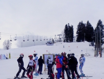 ELIMINACJE DO MPA W KORBIELOWIE 2015 - WYNIKI I FOTOREPORTAŻ - zdjęcie82