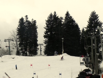 ELIMINACJE DO MPA W KORBIELOWIE 2015 - WYNIKI I FOTOREPORTAŻ - zdjęcie38