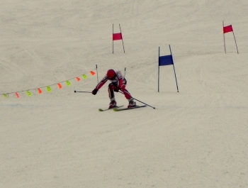 ELIMINACJE DO MPA W KORBIELOWIE 2015 - WYNIKI I FOTOREPORTAŻ - zdjęcie26