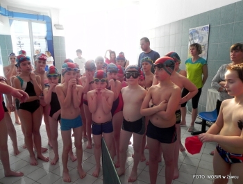 Wyniki zawodów pływackich - 13.02.2015r. - zdjęcie13