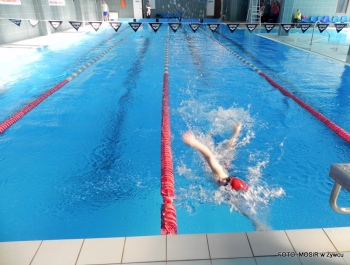 Wyniki zawodów pływackich - 13.02.2015r. - zdjęcie14