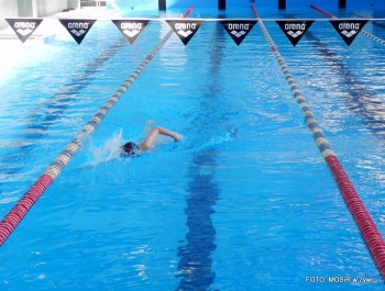 Wyniki zawodów pływackich - 13.02.2015r. - zdjęcie15