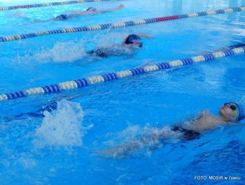 Wyniki zawodów pływackich - 13.02.2015r. - zdjęcie17