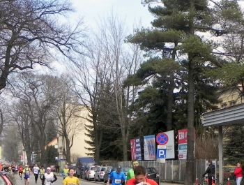 XVI PÓŁMARATON - PÓŁOFICJALNIE. FOTOGALERIA ŻYWIEC 29.III.2015 - zdjęcie88