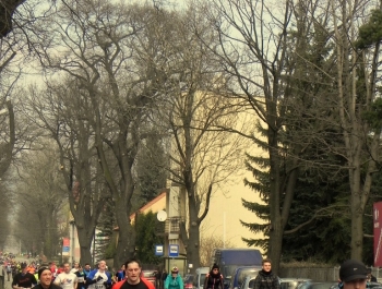 XVI PÓŁMARATON - PÓŁOFICJALNIE. FOTOGALERIA ŻYWIEC 29.III.2015 - zdjęcie86