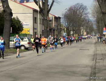 XVI PÓŁMARATON - PÓŁOFICJALNIE. FOTOGALERIA ŻYWIEC 29.III.2015 - zdjęcie75