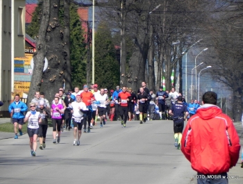 XVI PÓŁMARATON - PÓŁOFICJALNIE. FOTOGALERIA ŻYWIEC 29.III.2015 - zdjęcie66