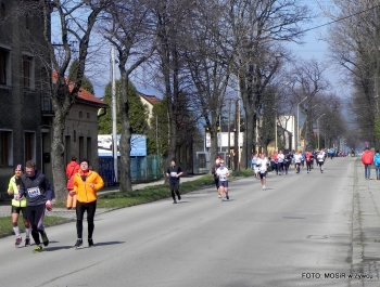 XVI PÓŁMARATON - PÓŁOFICJALNIE. FOTOGALERIA ŻYWIEC 29.III.2015 - zdjęcie65