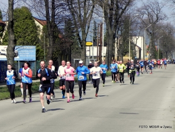 XVI PÓŁMARATON - PÓŁOFICJALNIE. FOTOGALERIA ŻYWIEC 29.III.2015 - zdjęcie63