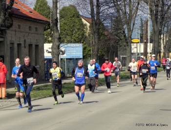 XVI PÓŁMARATON - PÓŁOFICJALNIE. FOTOGALERIA ŻYWIEC 29.III.2015 - zdjęcie62
