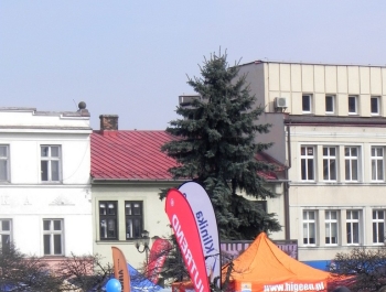 XVI PÓŁMARATON - PÓŁOFICJALNIE. FOTOGALERIA ŻYWIEC 29.III.2015 - zdjęcie12