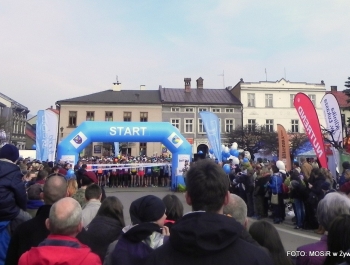 XVI PÓŁMARATON - PÓŁOFICJALNIE. FOTOGALERIA ŻYWIEC 29.III.2015 - zdjęcie7