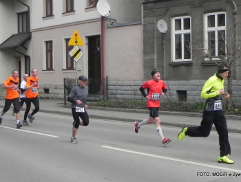 XVI PÓŁMARATON - PÓŁOFICJALNIE. FOTOGALERIA ŻYWIEC 29.III.2015 - zdjęcie3
