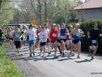 WYNIKI - XXV WIOSENNY FESTIWAL BIEGOWY - zdjęcie40