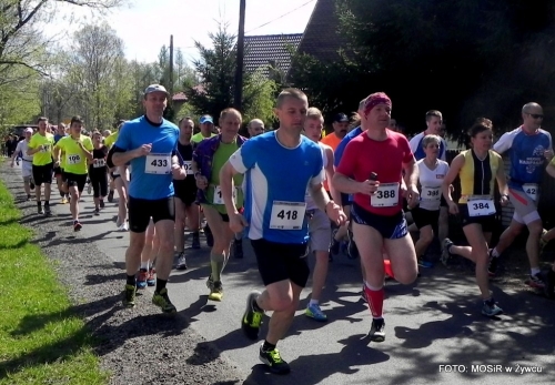 WYNIKI - XXV WIOSENNY FESTIWAL BIEGOWY