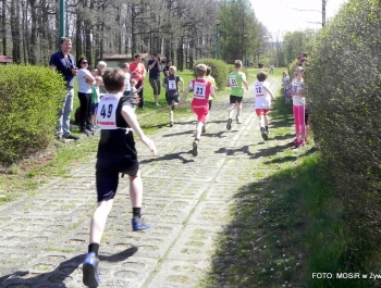 WYNIKI - XXV WIOSENNY FESTIWAL BIEGOWY - zdjęcie172