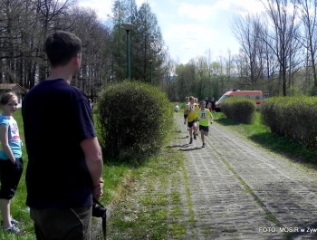 WYNIKI - XXV WIOSENNY FESTIWAL BIEGOWY - zdjęcie173