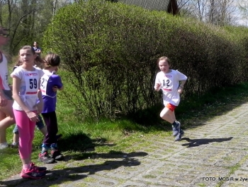 WYNIKI - XXV WIOSENNY FESTIWAL BIEGOWY - zdjęcie179