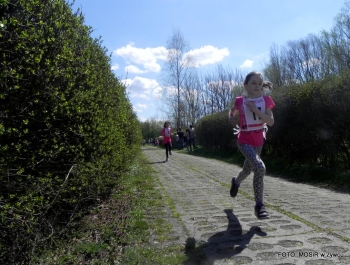 WYNIKI - XXV WIOSENNY FESTIWAL BIEGOWY - zdjęcie206