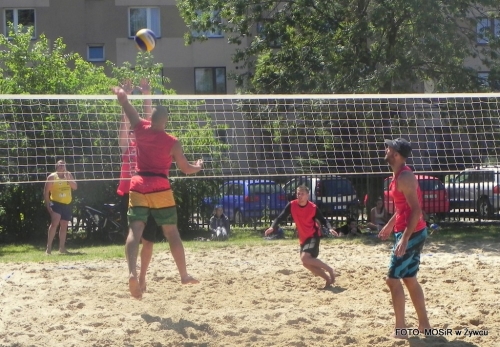 LIPCOWA SOBOTA W ŻYWCU. W ROLI GŁOWNEJ: PIŁKA PLAŻOWA