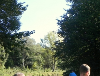 XXV JESIENNY FESTIWAL BIEGOWY - WYNIKI I FOTOREPORTAŻ - zdjęcie39