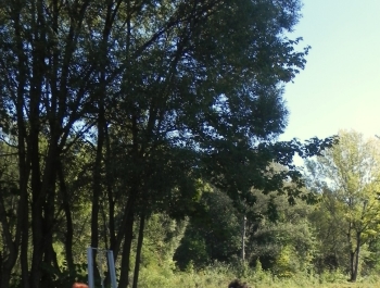 XXV JESIENNY FESTIWAL BIEGOWY - WYNIKI I FOTOREPORTAŻ - zdjęcie38