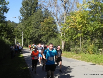 XXV JESIENNY FESTIWAL BIEGOWY - WYNIKI I FOTOREPORTAŻ - zdjęcie31