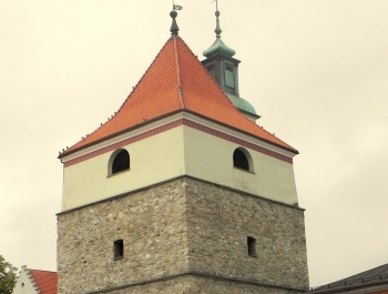 PRAKTYKI W MOSiRze - zdjęcie9