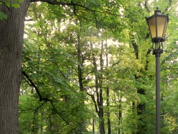 PRAKTYKI W MOSiRze - zdjęcie14