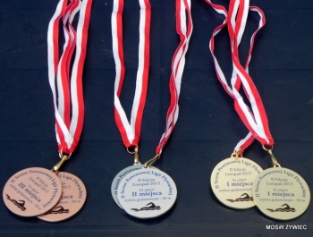 WYNIKI - II EDYCJI POWIATOWEJ LIGI PŁYWACKIEJ - zdjęcie13