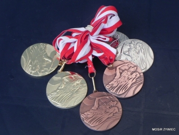 WYNIKI - II EDYCJI POWIATOWEJ LIGI PŁYWACKIEJ - zdjęcie14