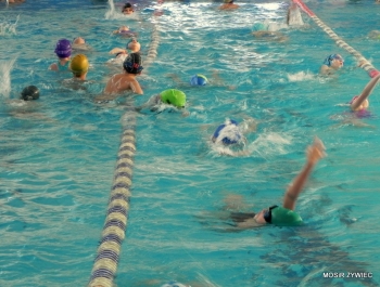 MIKOŁAJKOWE ZAWODY PŁYWACKIE I SPOTKANIE ZE ŚWIĘTYM MIKOŁAJEM - 2015. - zdjęcie67