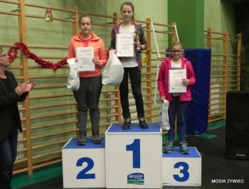 MIKOŁAJKOWE ZAWODY PŁYWACKIE I SPOTKANIE ZE ŚWIĘTYM MIKOŁAJEM - 2015. - zdjęcie37