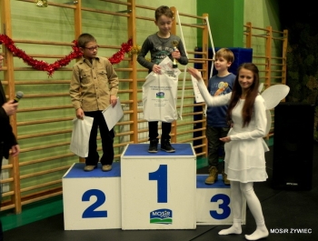 MIKOŁAJKOWE ZAWODY PŁYWACKIE I SPOTKANIE ZE ŚWIĘTYM MIKOŁAJEM - 2015. - zdjęcie33