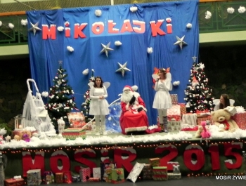 MIKOŁAJKOWE ZAWODY PŁYWACKIE I SPOTKANIE ZE ŚWIĘTYM MIKOŁAJEM - 2015. - zdjęcie11