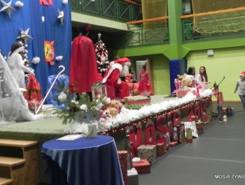 MIKOŁAJKOWE ZAWODY PŁYWACKIE I SPOTKANIE ZE ŚWIĘTYM MIKOŁAJEM - 2015. - zdjęcie10