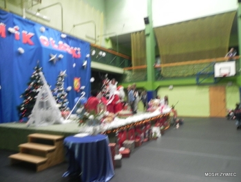 MIKOŁAJKOWE ZAWODY PŁYWACKIE I SPOTKANIE ZE ŚWIĘTYM MIKOŁAJEM - 2015. - zdjęcie8