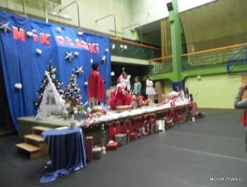 MIKOŁAJKOWE ZAWODY PŁYWACKIE I SPOTKANIE ZE ŚWIĘTYM MIKOŁAJEM - 2015. - zdjęcie3