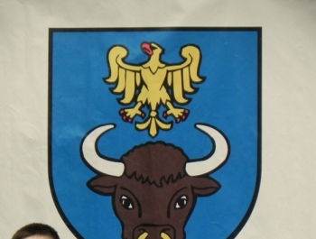 I EDYCJA GRAND PRIX W TENISIE STOŁOWYM - zdjęcie4