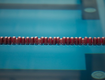 WYNIKI ZAWODY PŁYWACKIE-Ferie z MOSiR-em 2016 - zdjęcie36