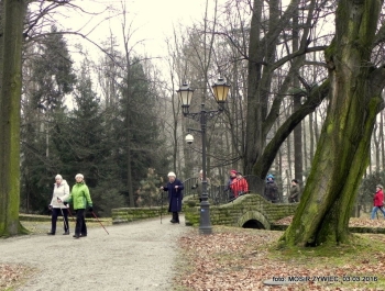 SENIORKI I SENIORZY  - WYSTARTOWALIŚMY! - zdjęcie24