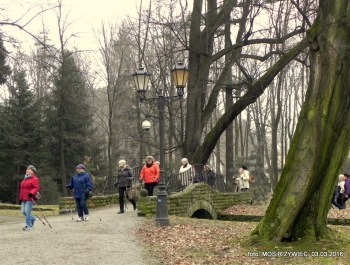 SENIORKI I SENIORZY  - WYSTARTOWALIŚMY! - zdjęcie23