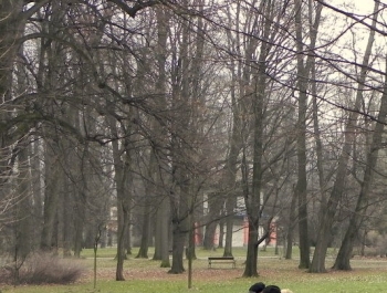 SENIORKI I SENIORZY  - WYSTARTOWALIŚMY! - zdjęcie21