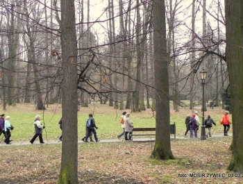 SENIORKI I SENIORZY  - WYSTARTOWALIŚMY! - zdjęcie20