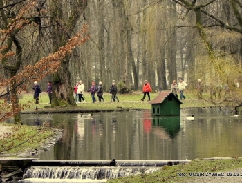 SENIORKI I SENIORZY  - WYSTARTOWALIŚMY! - zdjęcie19